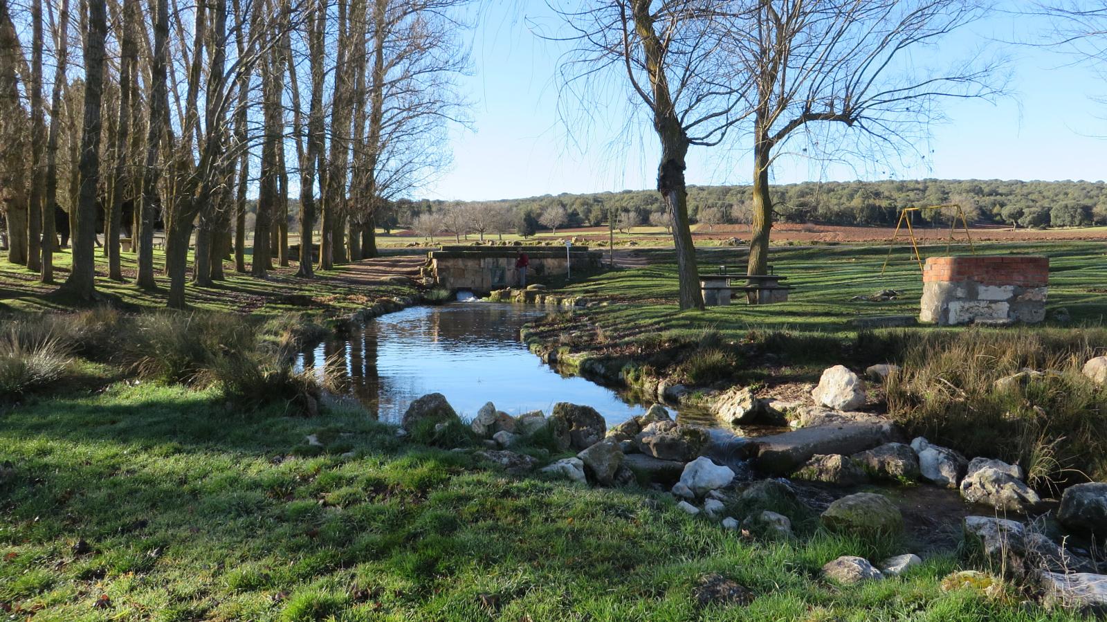 Arroyo entre árboles y praderas en un entorno rural
